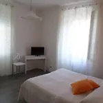 Porto Vecchio - Stazione Trieste